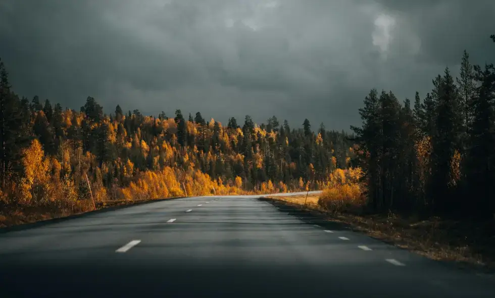 Previše traka za nove puteve u severnoj Slovačkoj? Upozorenje stručnjaka u vezi sa auto-putem D3