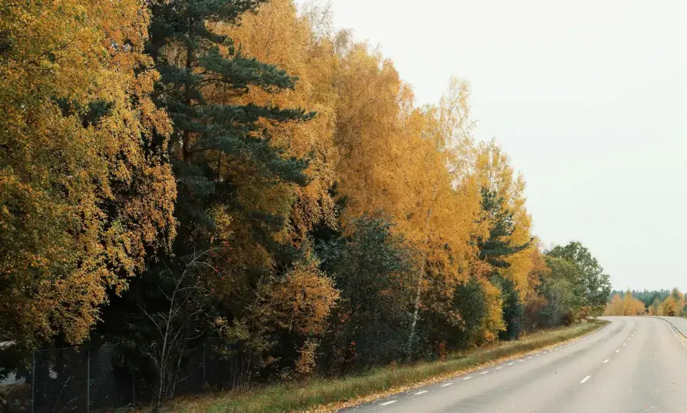 W okolicy Kladna z opóźnieniem zakończono duży remont autostrady D6.